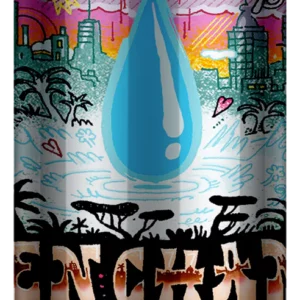 Brasserie La Flaque - Désenchantée – Berliner Weisse